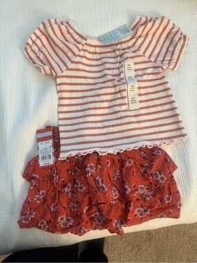 Target Toddler Striped Top & Rust Floral Shorts Set